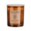 NATURE Duftkerze im Glas – Nordic Trees